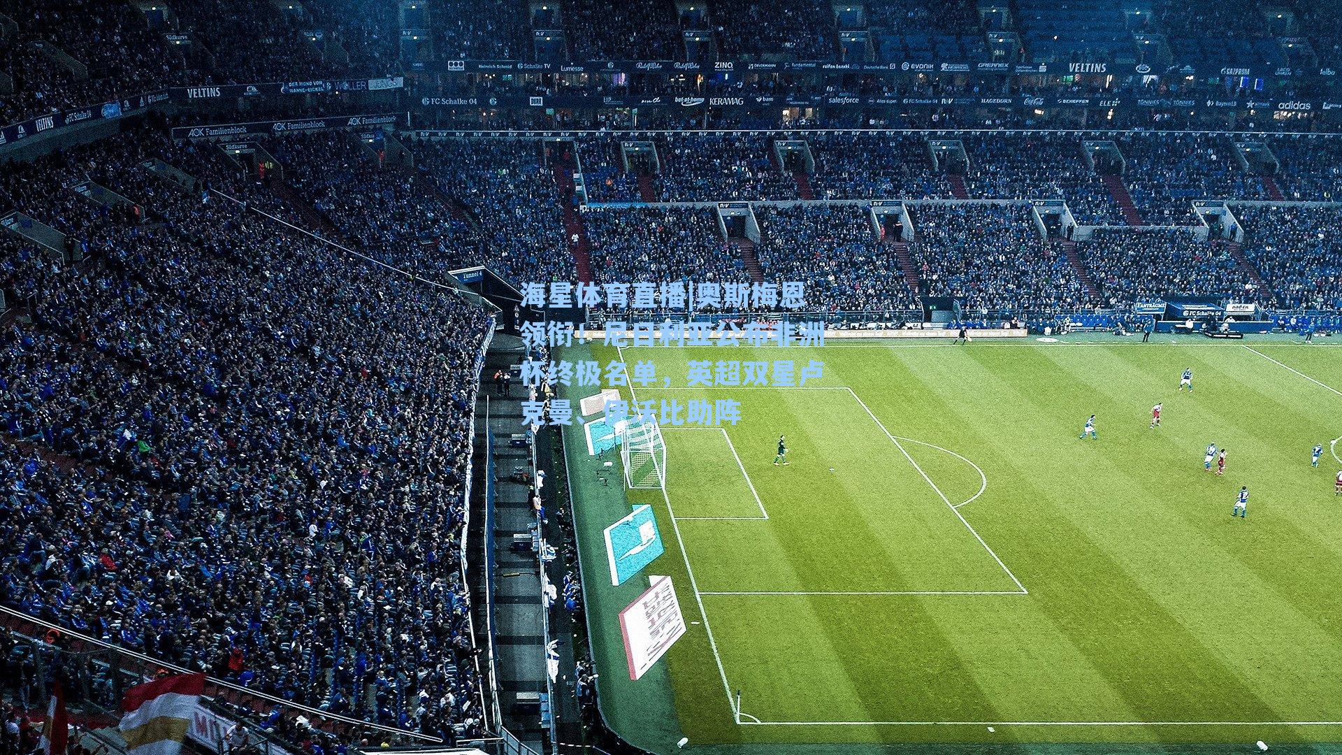 奥斯梅恩领衔！尼日利亚公布非洲杯终极名单，英超双星卢克曼、伊沃比助阵