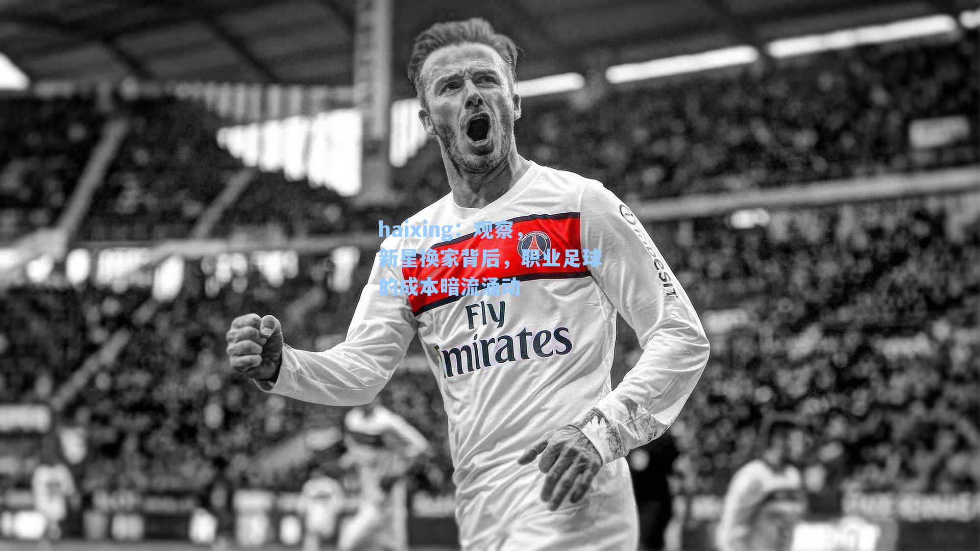 观察，新星换家背后，职业足球的成本暗流涌动